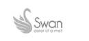 swan